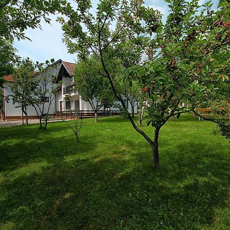 Lagom Apartments Drežnik Grad Zewnętrze zdjęcie